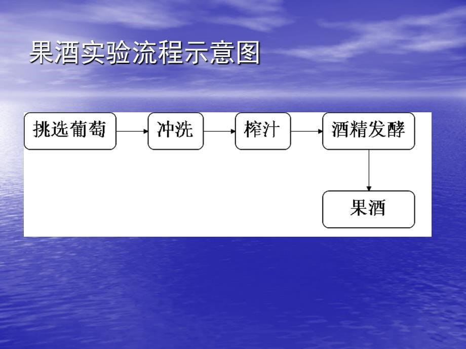 diyxp家园极速经典果酒与果醋的制作_第5页