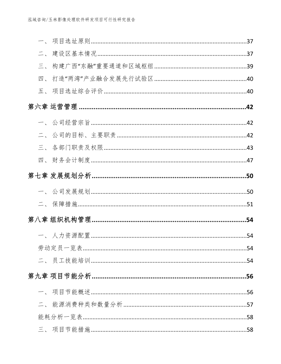 玉林影像处理软件研发项目可行性研究报告（模板）_第5页