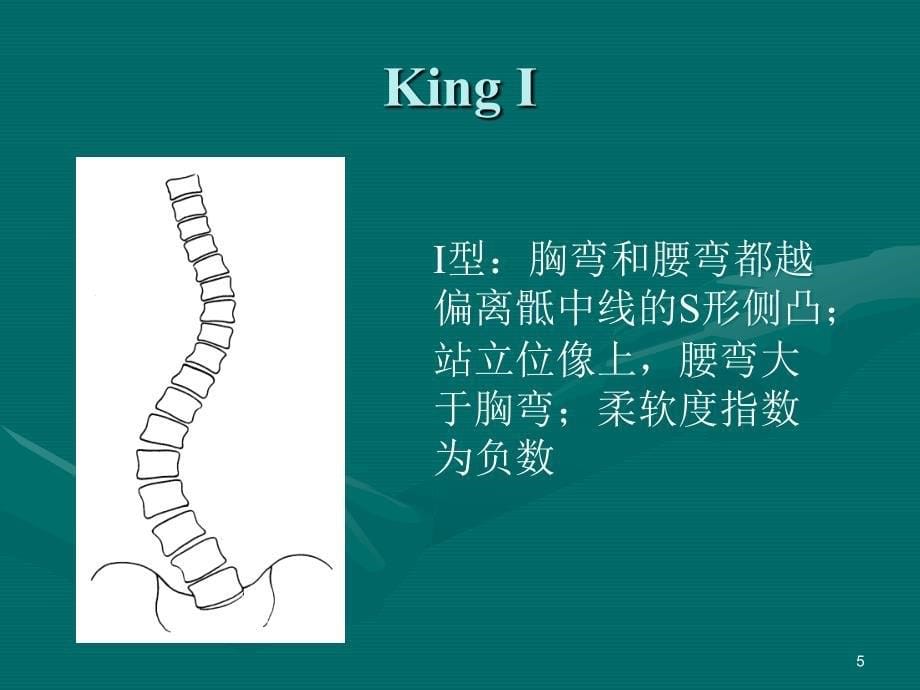 Lenke分型PPT课件_第5页