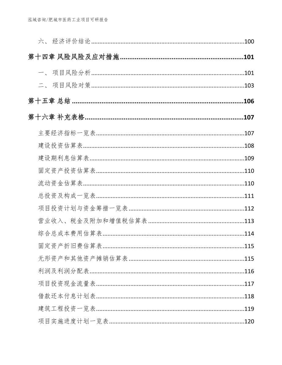 肥城市医药工业项目可研报告_第5页