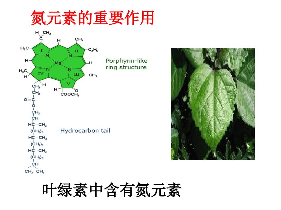 生产活中的含氮化合物孟娜_第2页