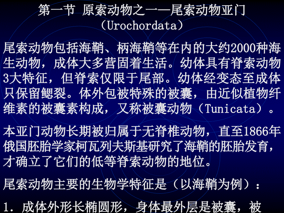 动物学9原索动物之一尾索动物亚门Urochordata_第1页