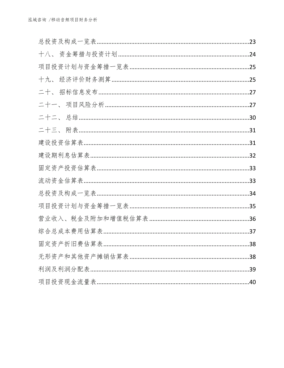 移动音频项目财务分析（模板参考）_第4页