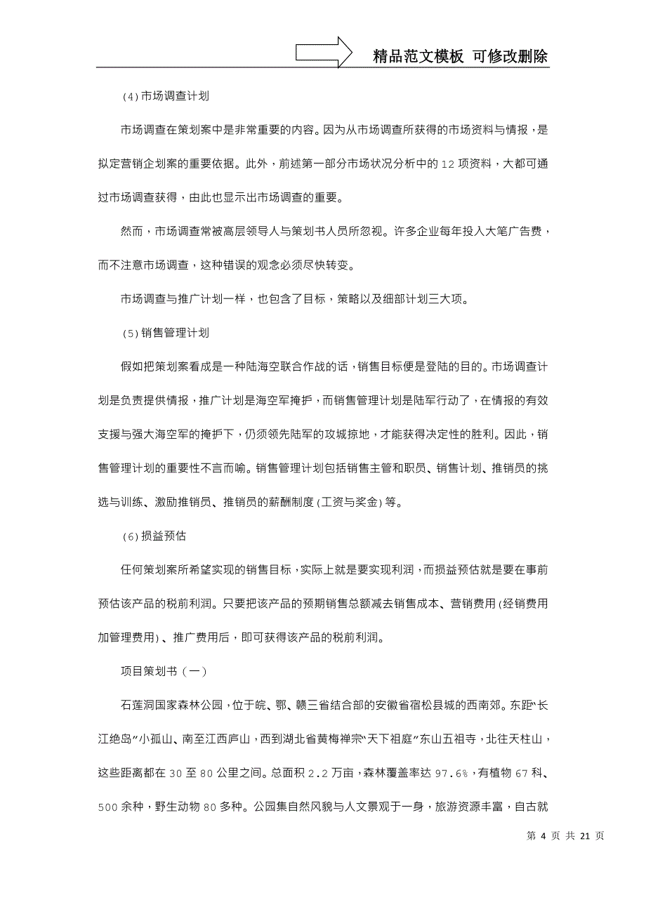 如何写项目策划书_第4页