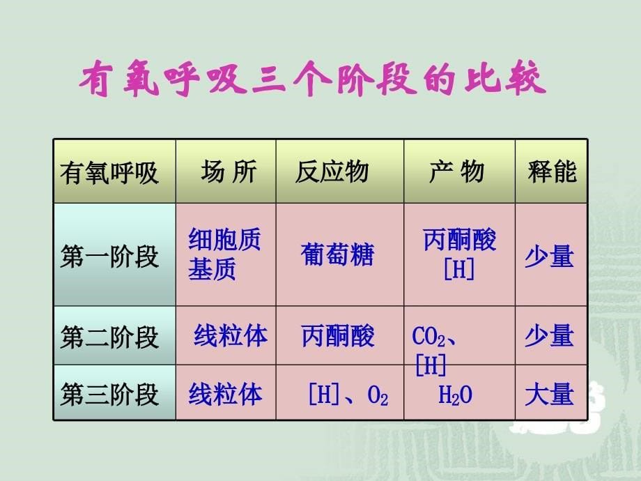 《高中生物细胞呼吸》PPT课件_第5页