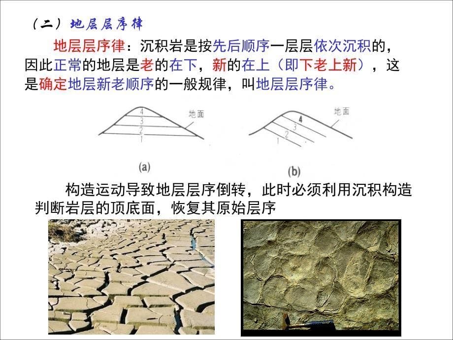 地层与地质年代地质学基础教学课件_第5页