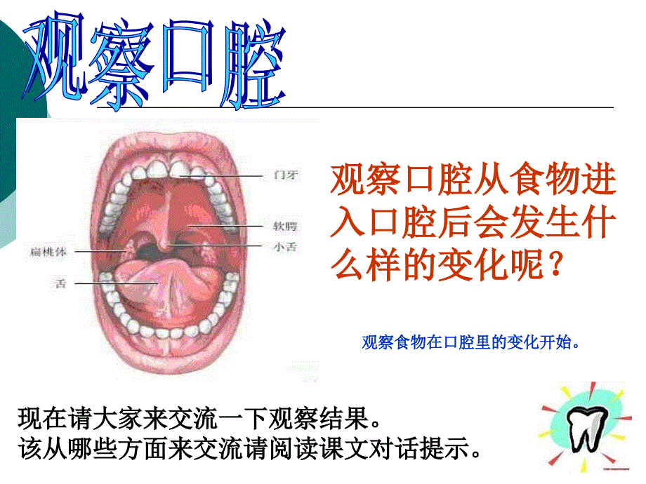 食物在口腔里的变化_第2页