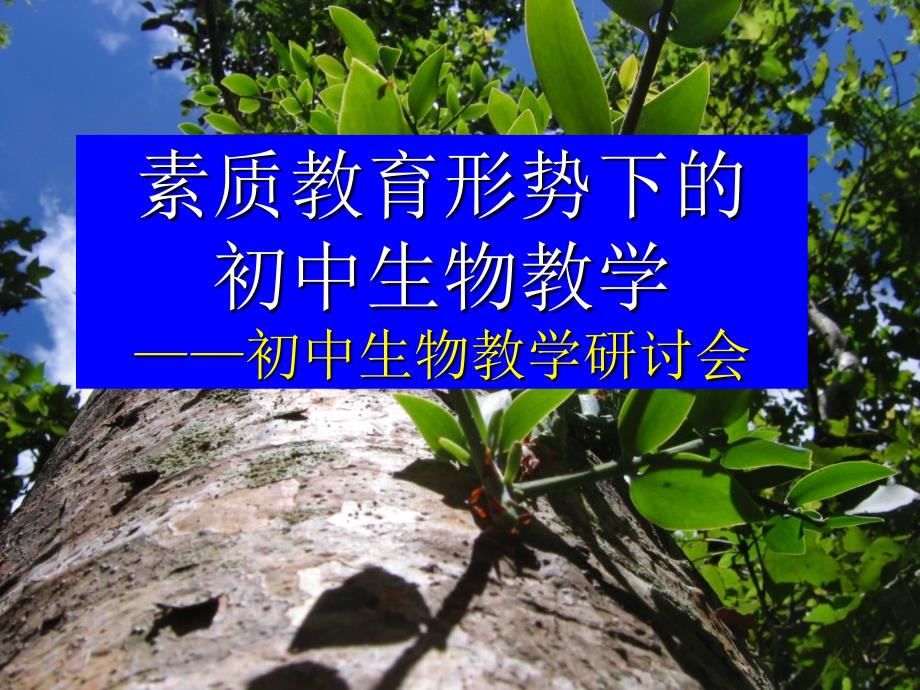 初中生物教学研讨会－－素质教育形势下的初中生物教学　课件_第1页