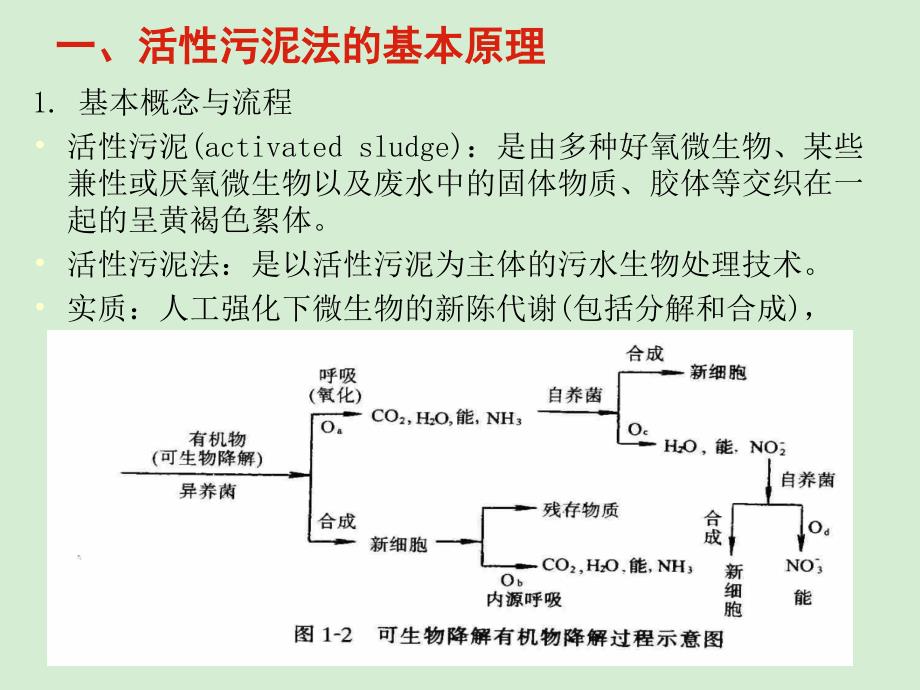 eA污水的生物处理_第2页