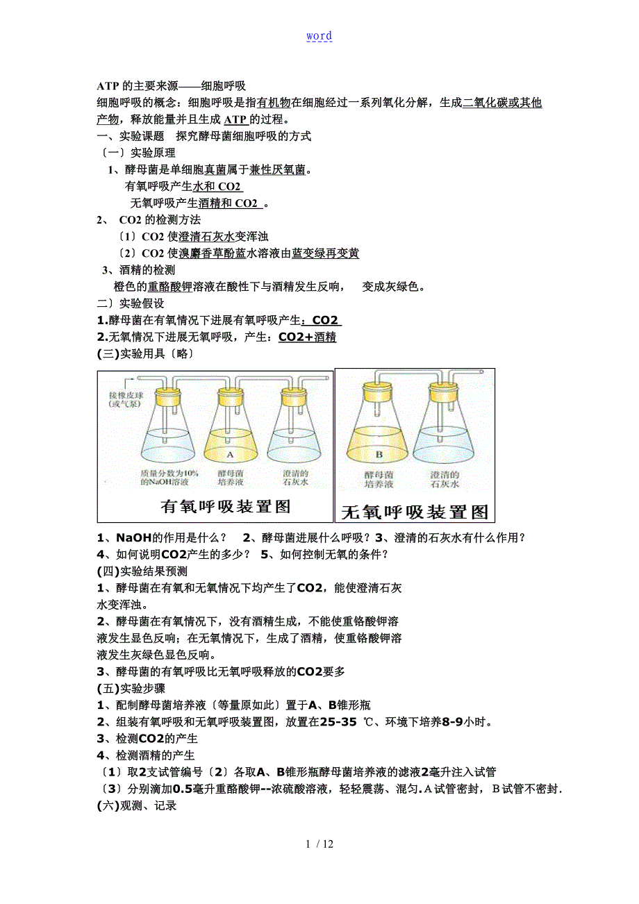 光合作用效果和呼吸作用效果知识点总结材料_第1页