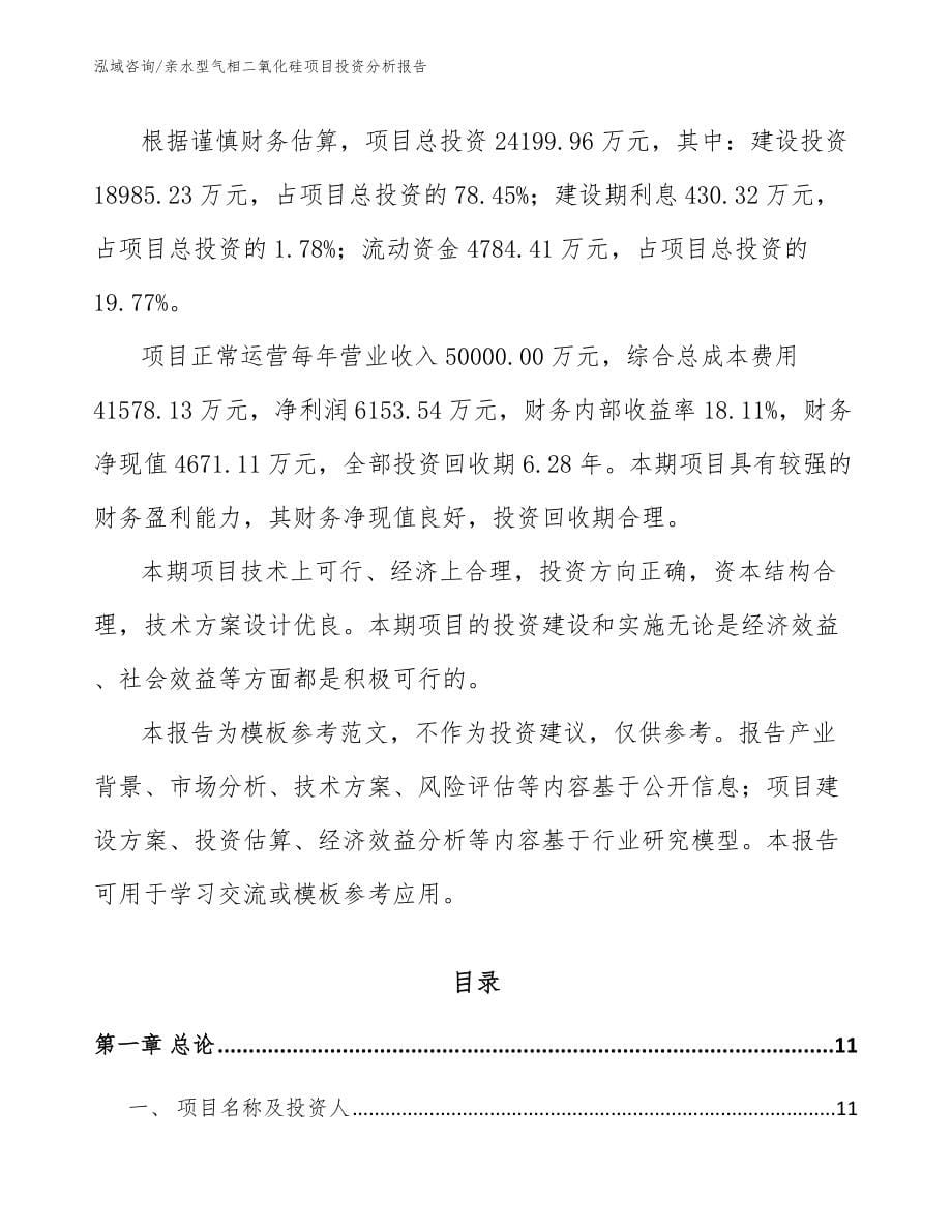 亲水型气相二氧化硅项目投资分析报告_模板参考_第5页