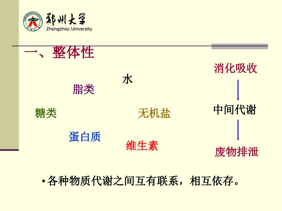 生物化学：第十章 代谢和代谢调控_第3页