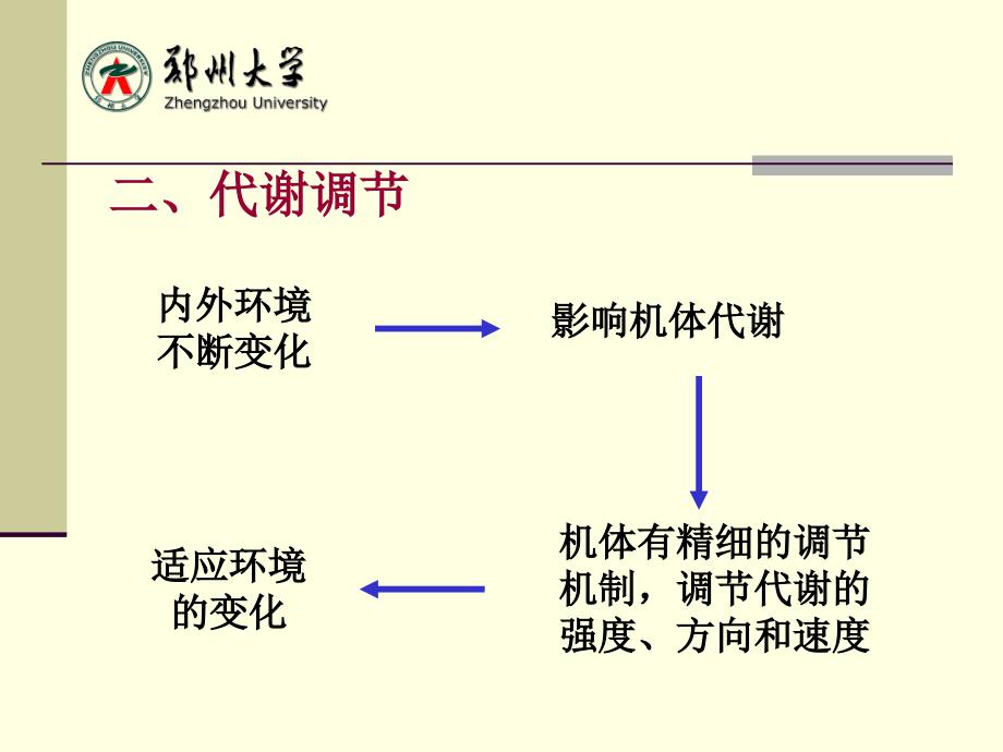 生物化学：第十章 代谢和代谢调控_第4页