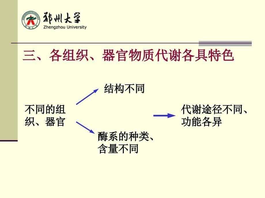 生物化学：第十章 代谢和代谢调控_第5页