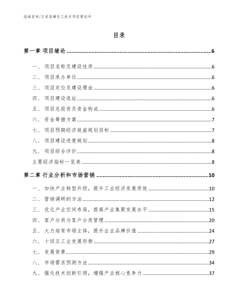 正安县磷化工技术项目策划书（模板范文）_第2页