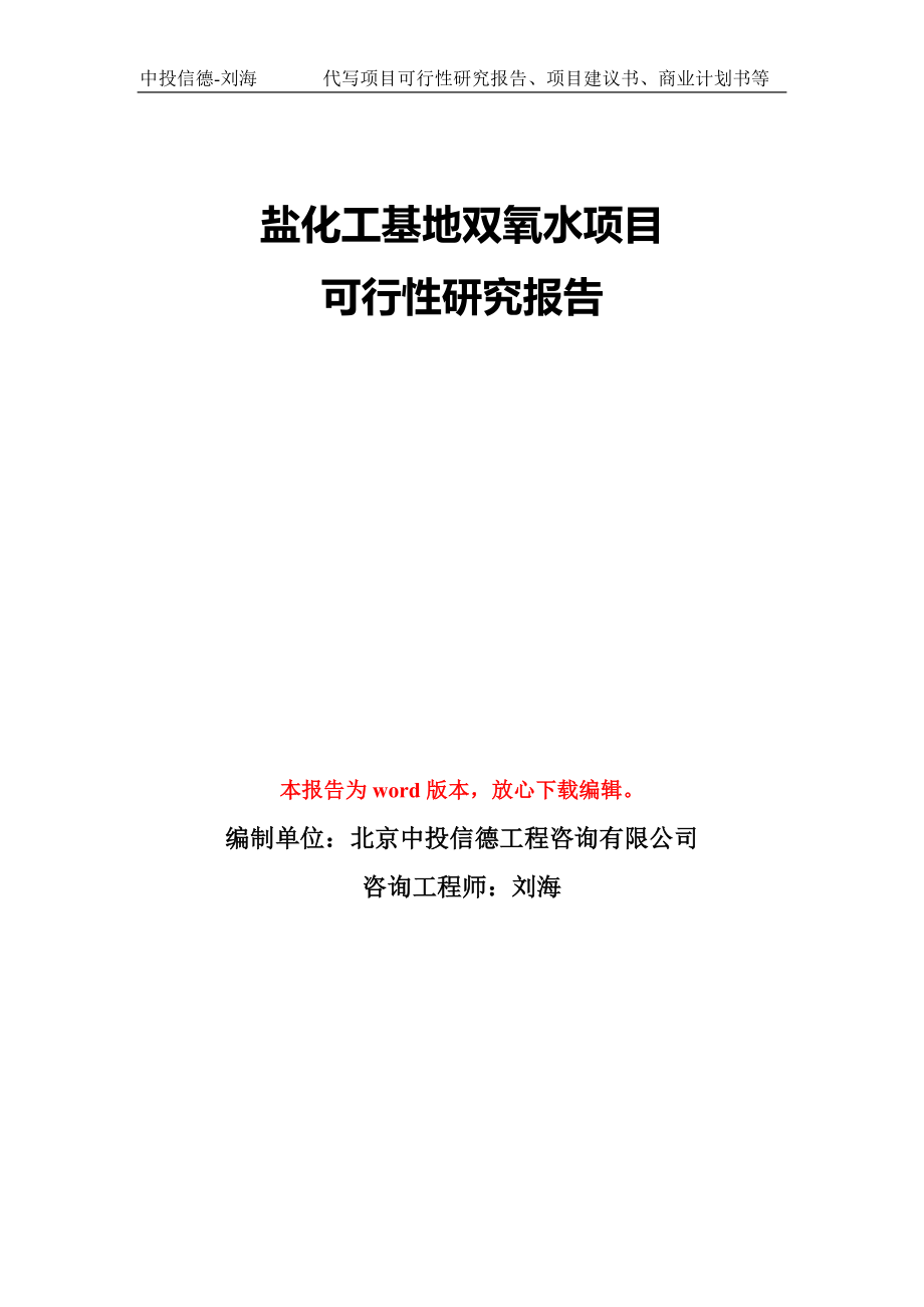 盐化工基地双氧水项目可行性研究报告模版_第1页