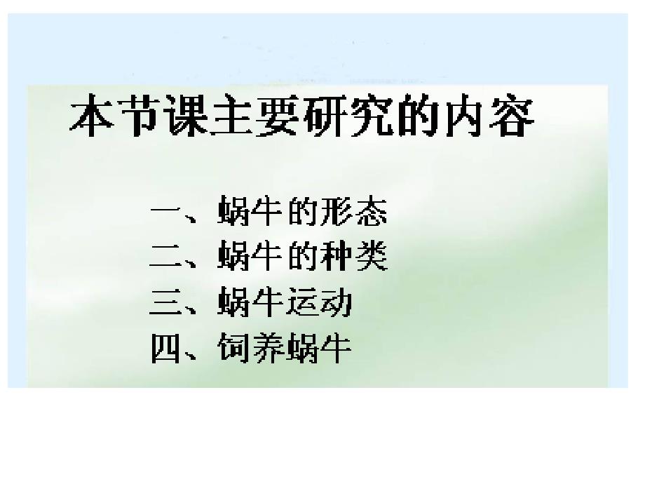 教科小学科学三上《2.2、蜗牛课件_第4页