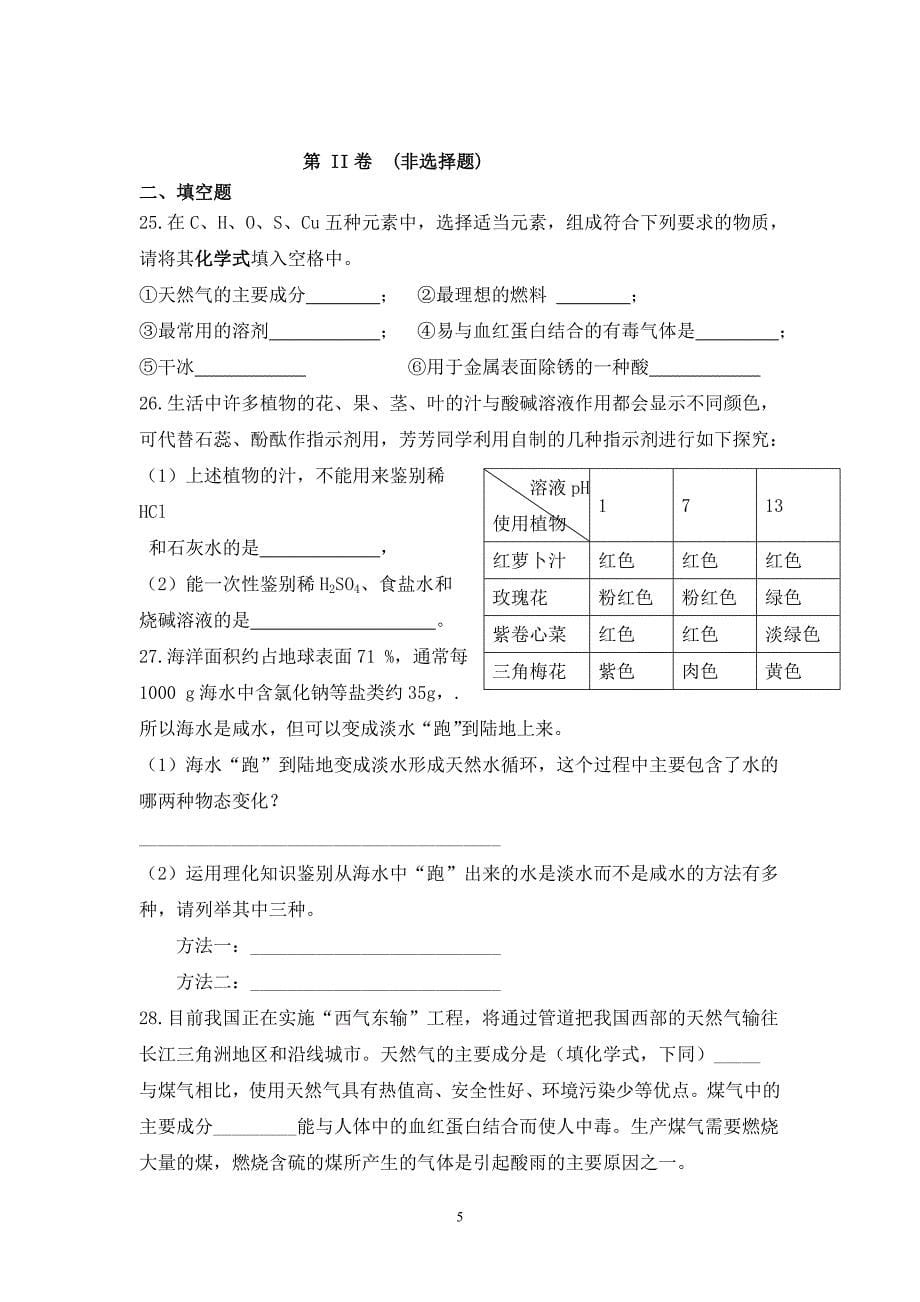 九年级化学试卷2010年新人教版.doc_第5页