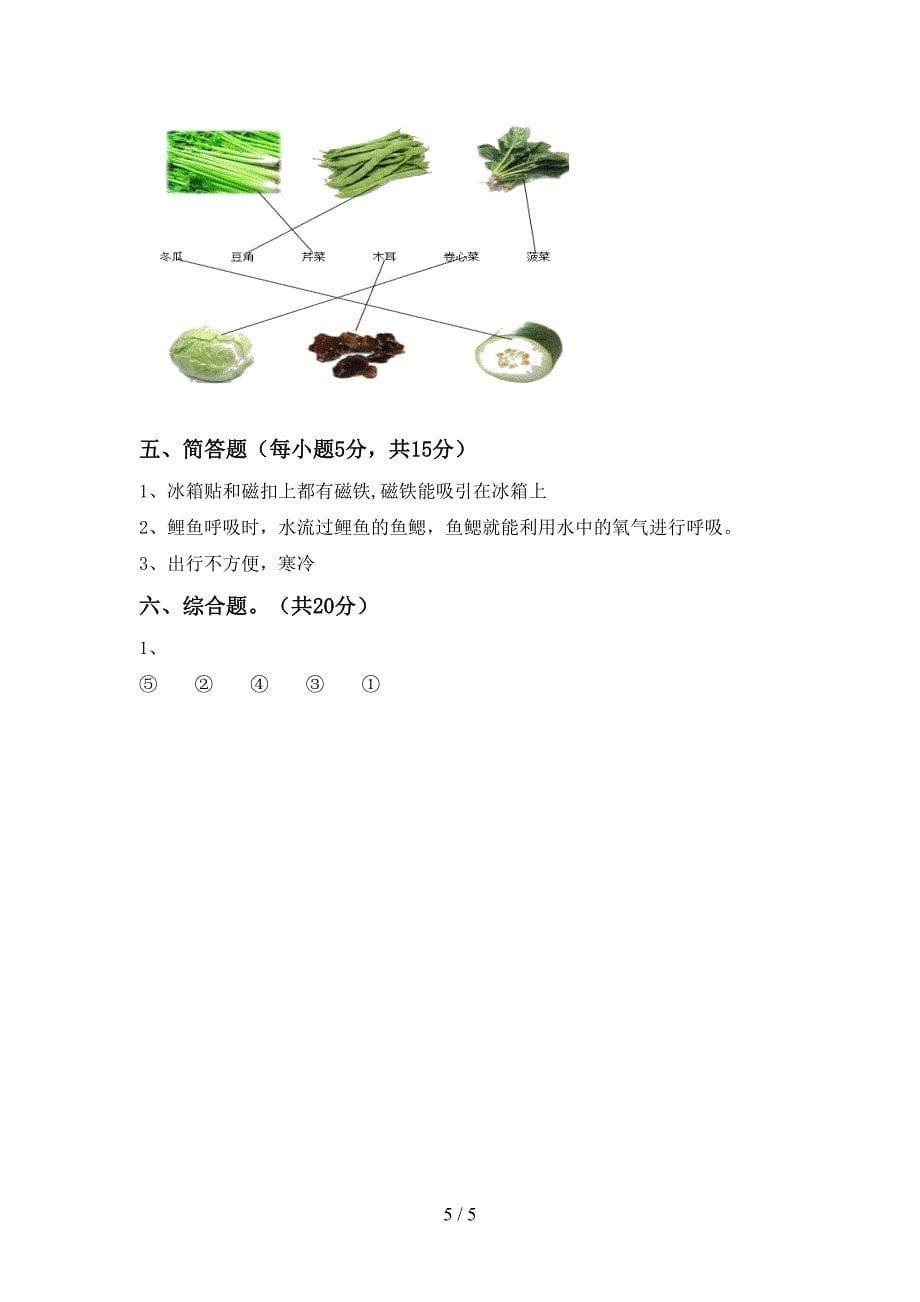 二年级科学上册期中考试(一套).doc_第5页