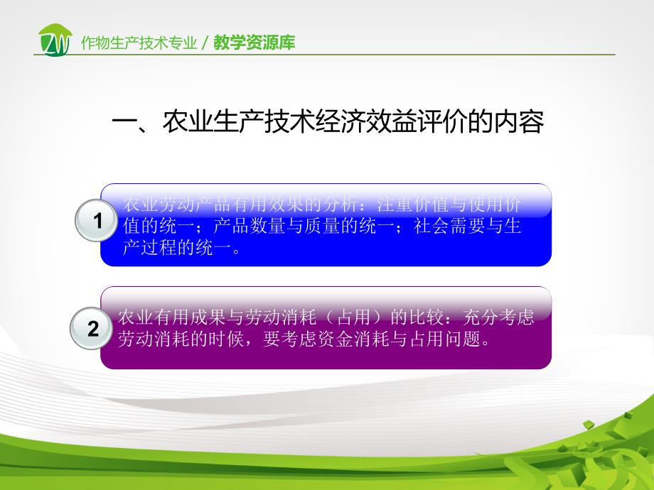 农业生产技术经济效益评价原则与方法重点课件_第3页