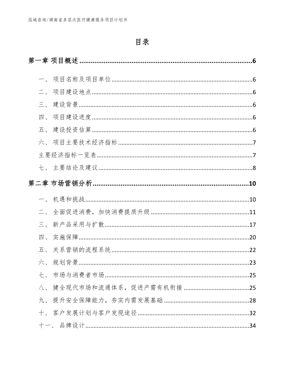 湖南省多层次医疗健康服务项目计划书_范文参考_第2页