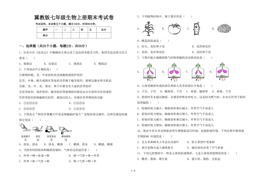 冀教版七年级生物上册期末考试卷.doc_第1页