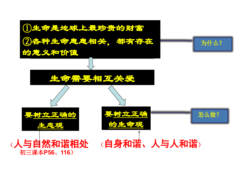 专题一珍爱生命_第3页