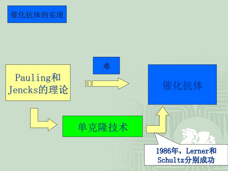 现代酶工程-7抗体酶或催化抗体_第4页