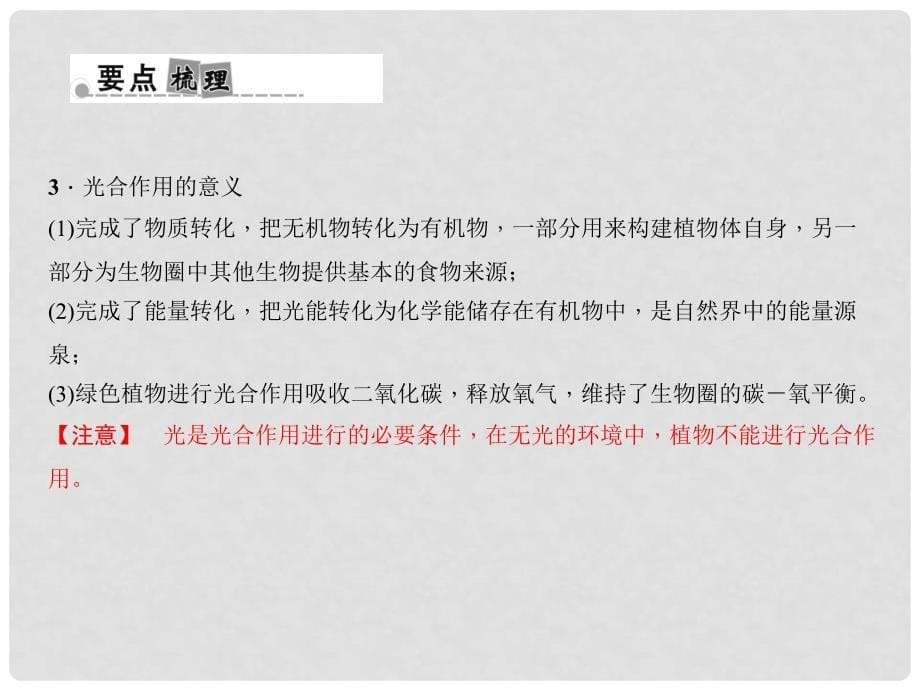 浙江省中考科学考点复习 第21讲 光合作用和呼吸作用课件_第5页