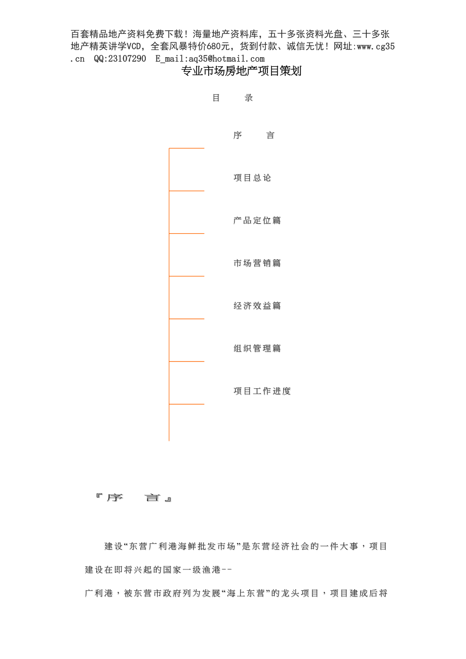 专业市场房地产项目策划（天选打工人）.docx_第1页