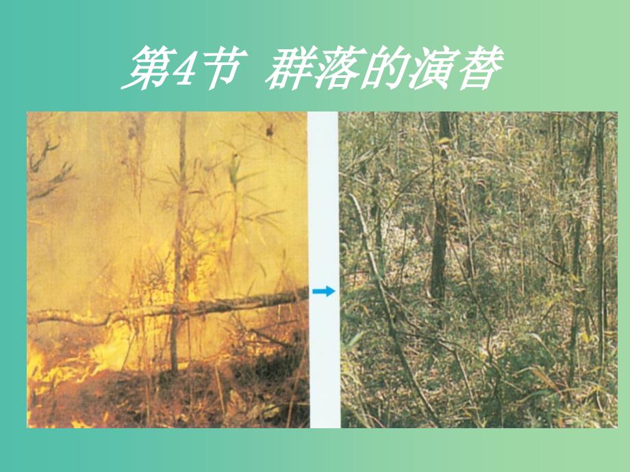 高中生物 第四章 第四节 群落的演替课件 新人教版必修3.ppt_第1页