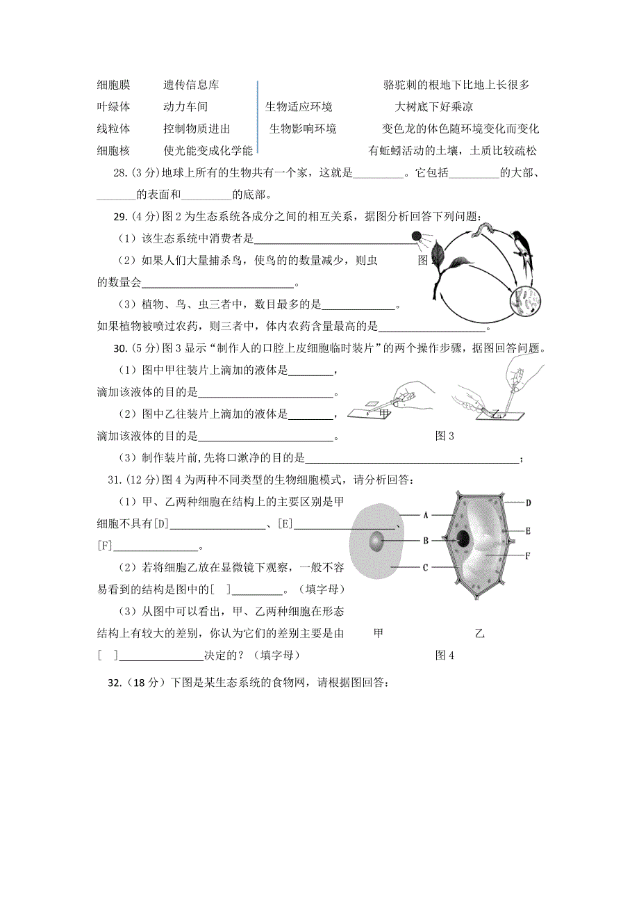 人教版七年级生物上册期中考试卷_第3页