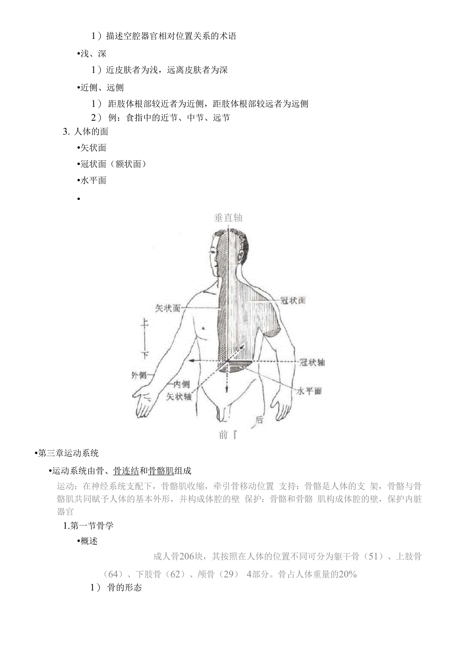 人体解剖学考研知识点整理_第2页