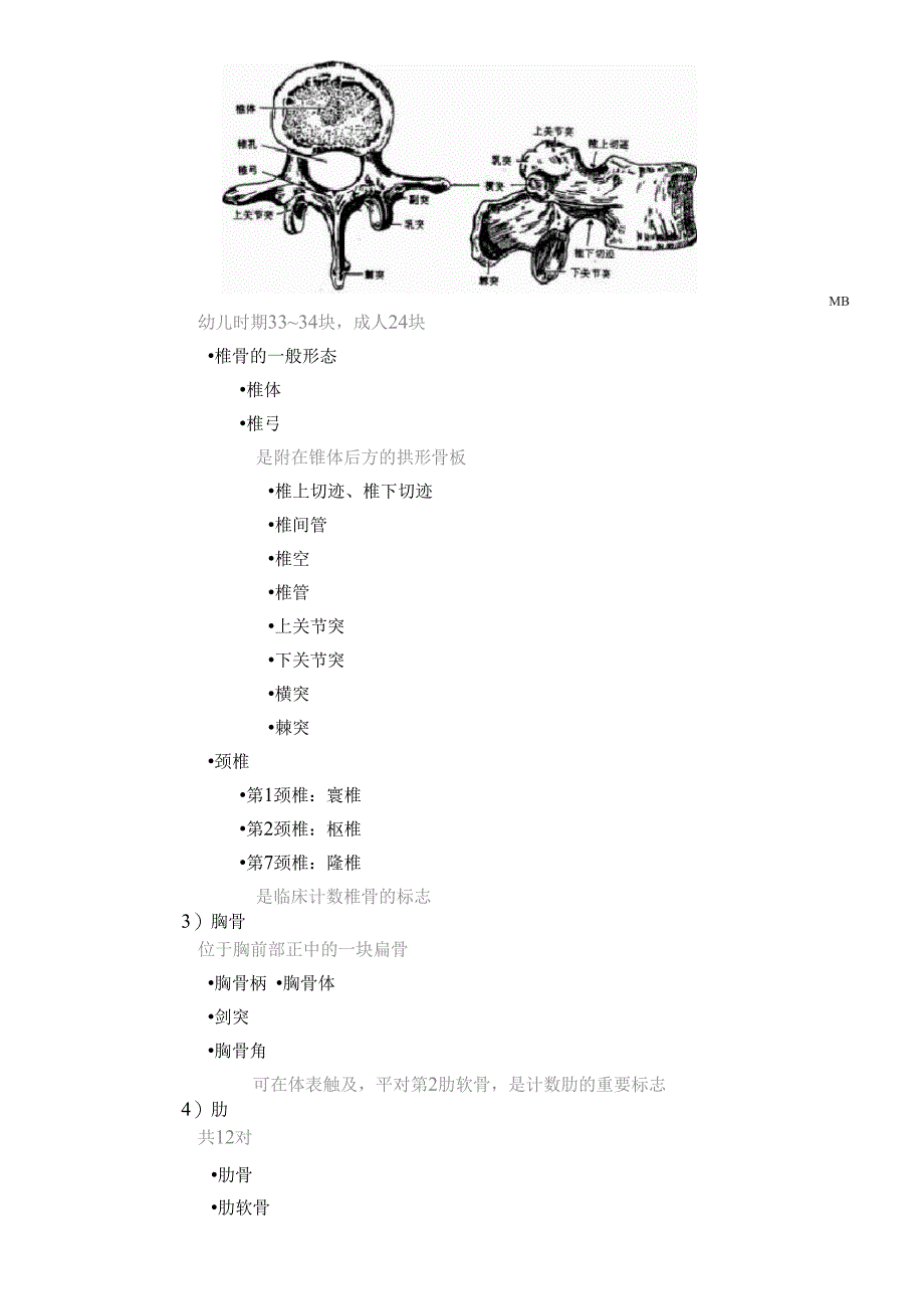 人体解剖学考研知识点整理_第4页