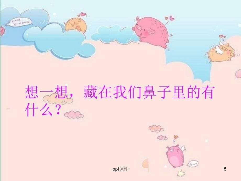 鼻子的秘密课件_第5页