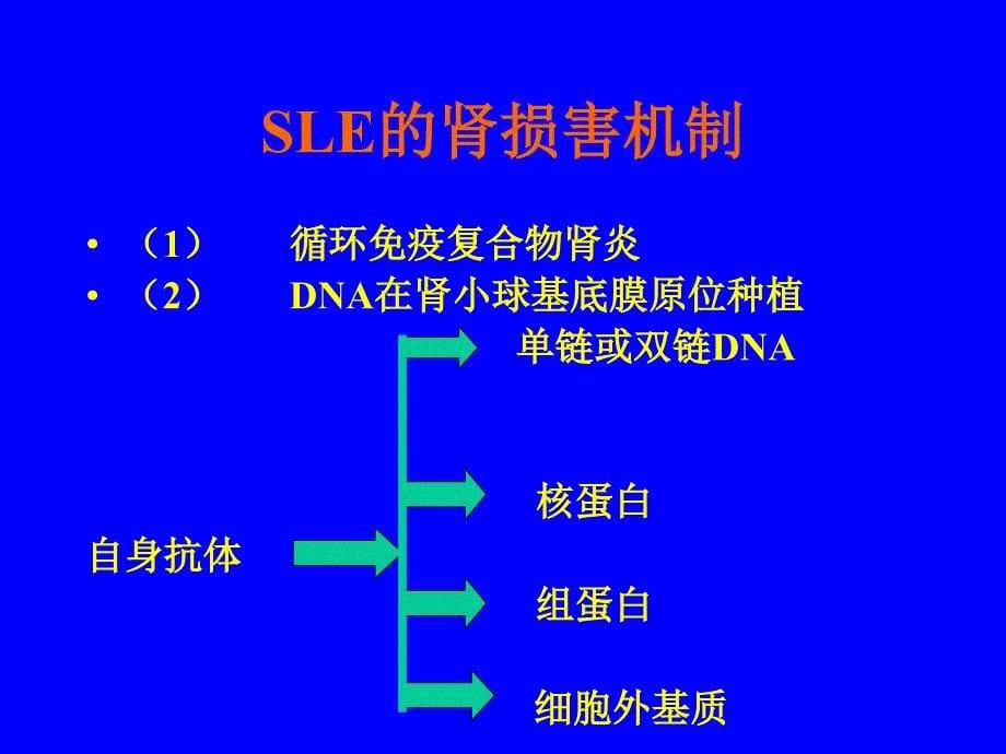 狼疮肾炎治疗(高肾).ppt_第5页