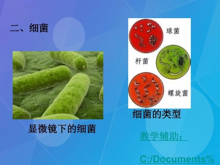 最新七年级科学下册7.4细菌和真菌的繁殖课件新版华东师大版新版华东师大级下册自然科学课件_第5页