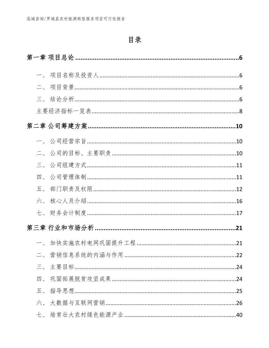 罗城县农村能源转型服务项目可行性报告_第2页