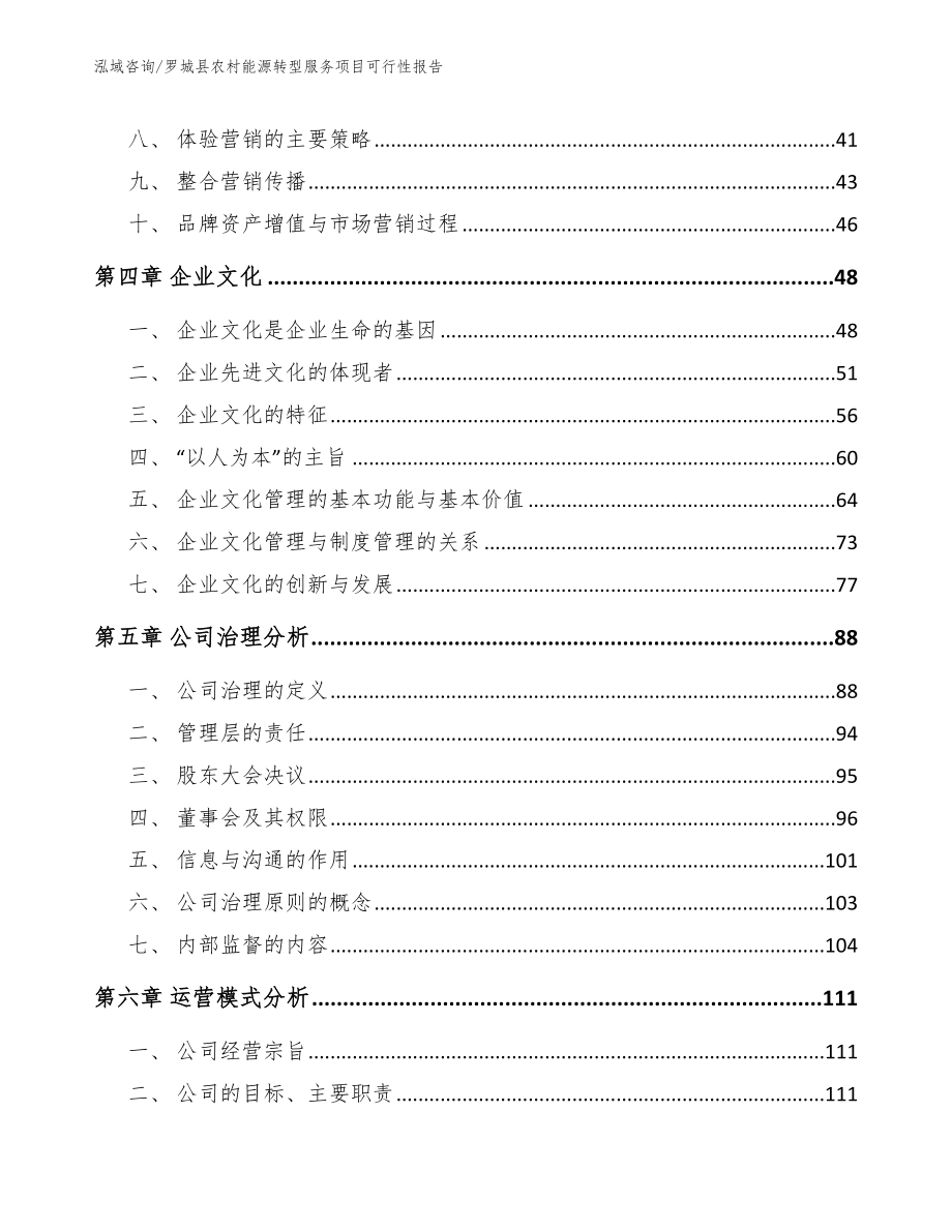 罗城县农村能源转型服务项目可行性报告_第3页