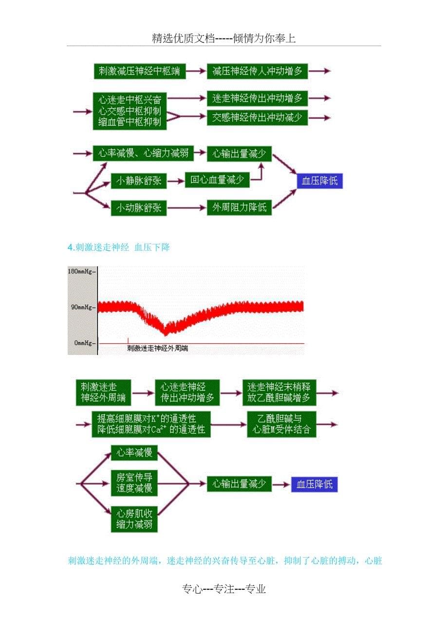 家兔动脉血压的神经体液调节实验_第5页