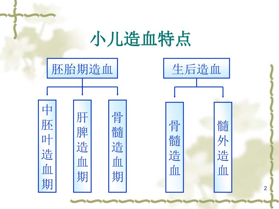 儿科护理学造血系统疾病患儿的护理课件_第2页