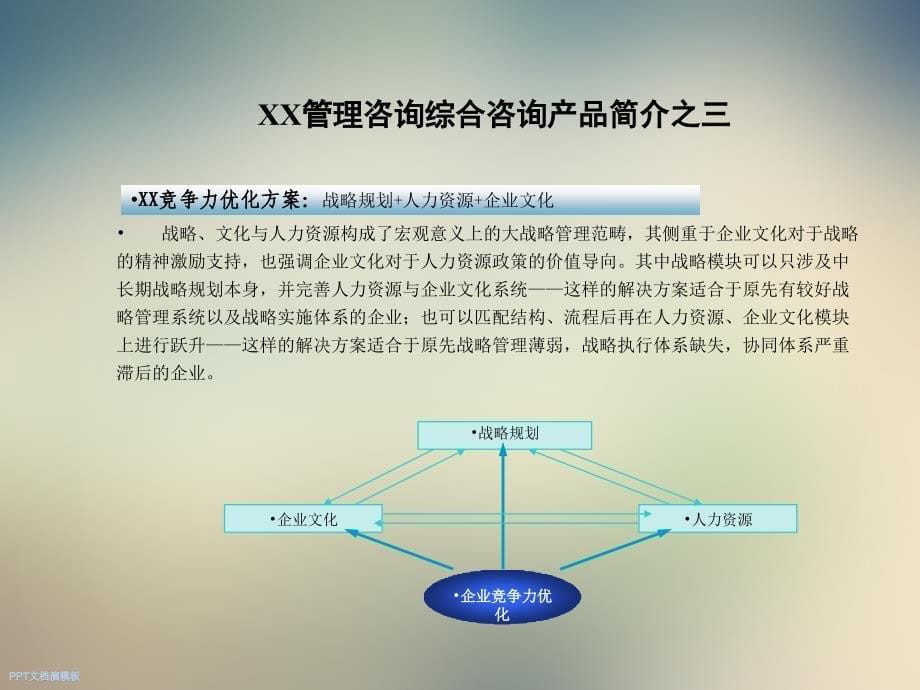 人力资源管理咨询方法和工具课件_第5页