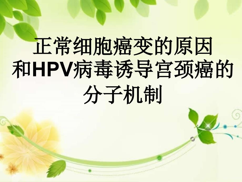 --正常细胞癌变的原因及HPV病毒诱导的宫颈癌的课件_第1页