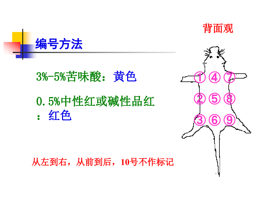 病理生理学实验：缺氧对小鼠的影响(1)_第2页