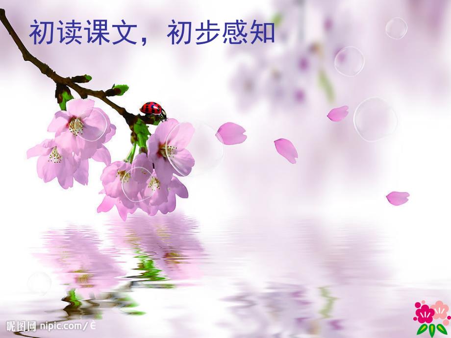 北师大版小学四下《三月桃花水》ppt课件2_第2页