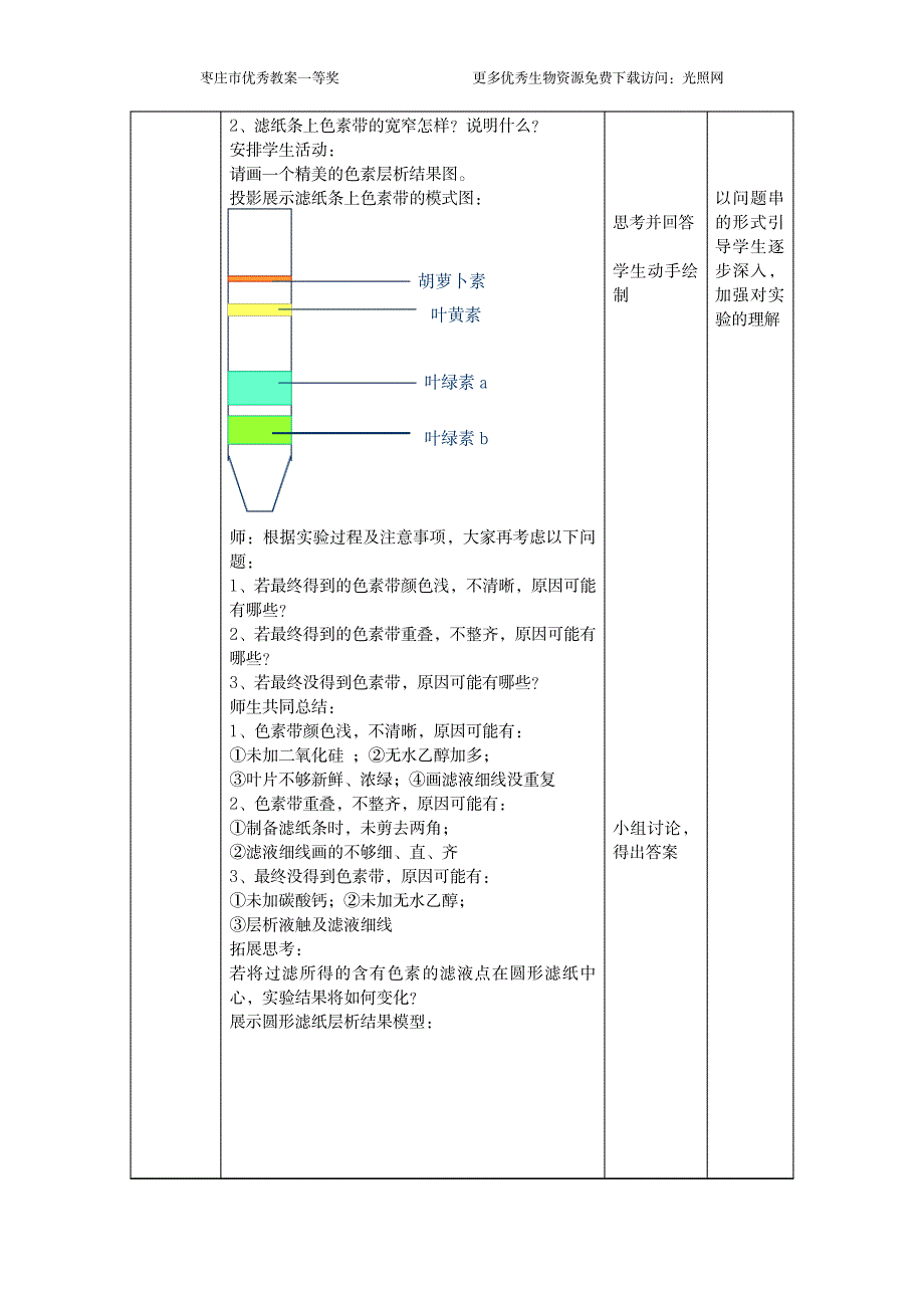 2023年枣庄优秀精品讲义一等奖捕获光能的色素和结构讲解_第4页