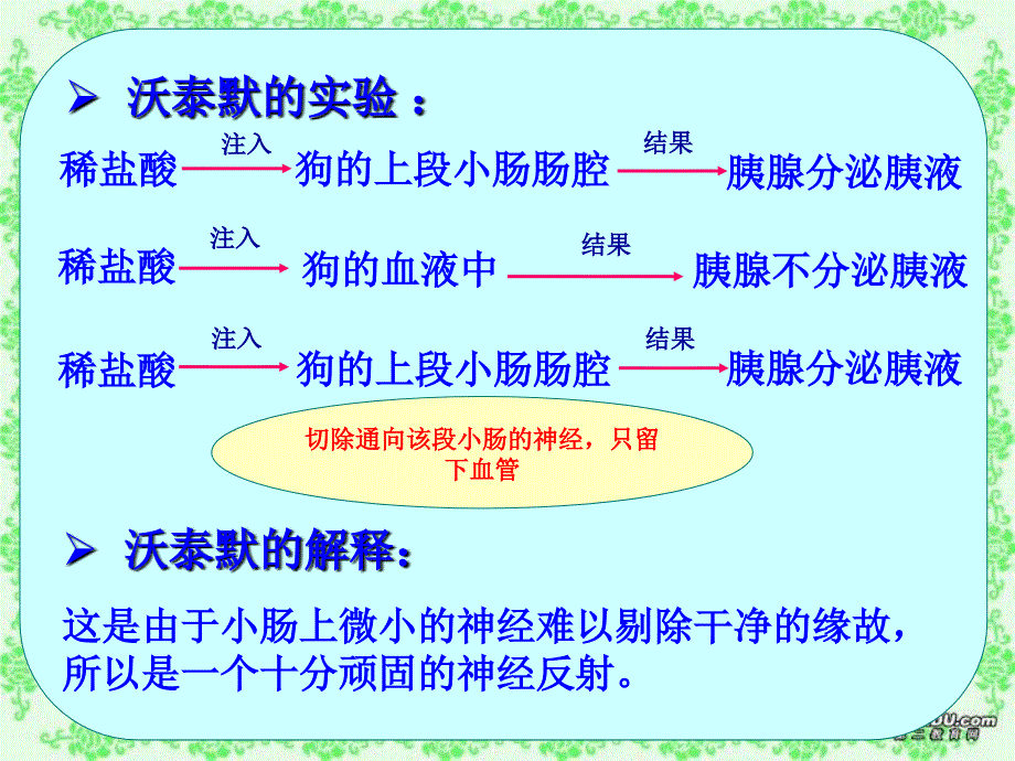 人教版教学课件2.2激素调节 神经调节和体液调节的关系_第2页