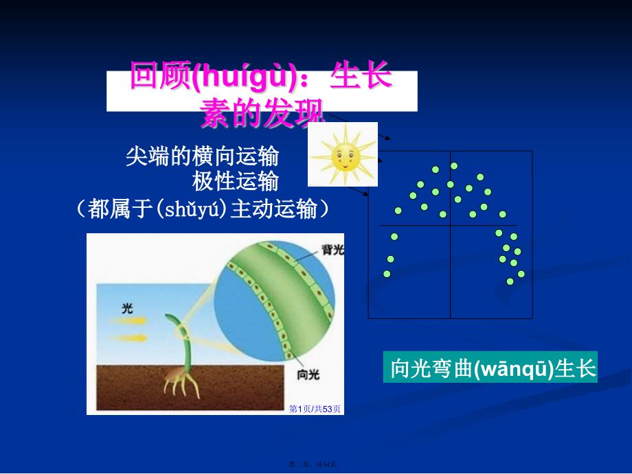 生长素的生理作用学习教案_第2页