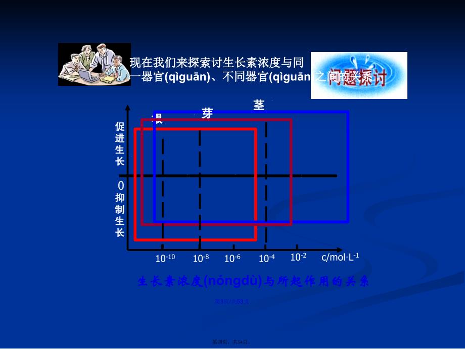 生长素的生理作用学习教案_第4页