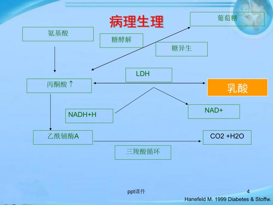 乳酸与乳酸酸中毒--课件_第4页